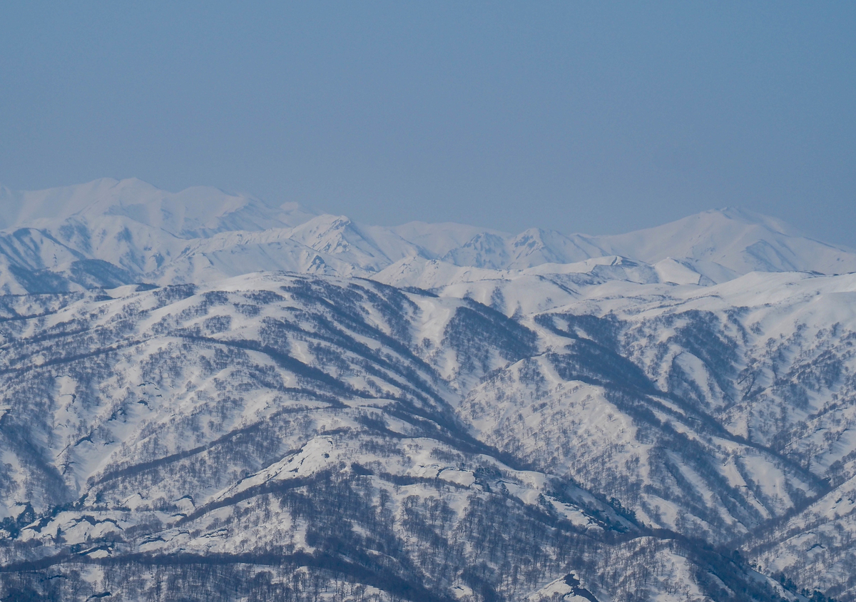 f:id:pft78526:20220413053821j:plain