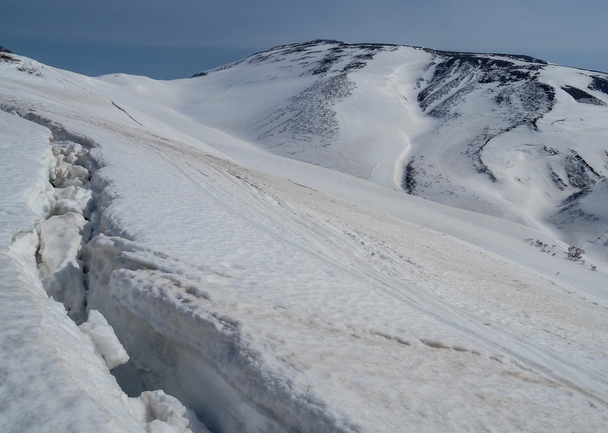 f:id:pft78526:20220413053838j:plain