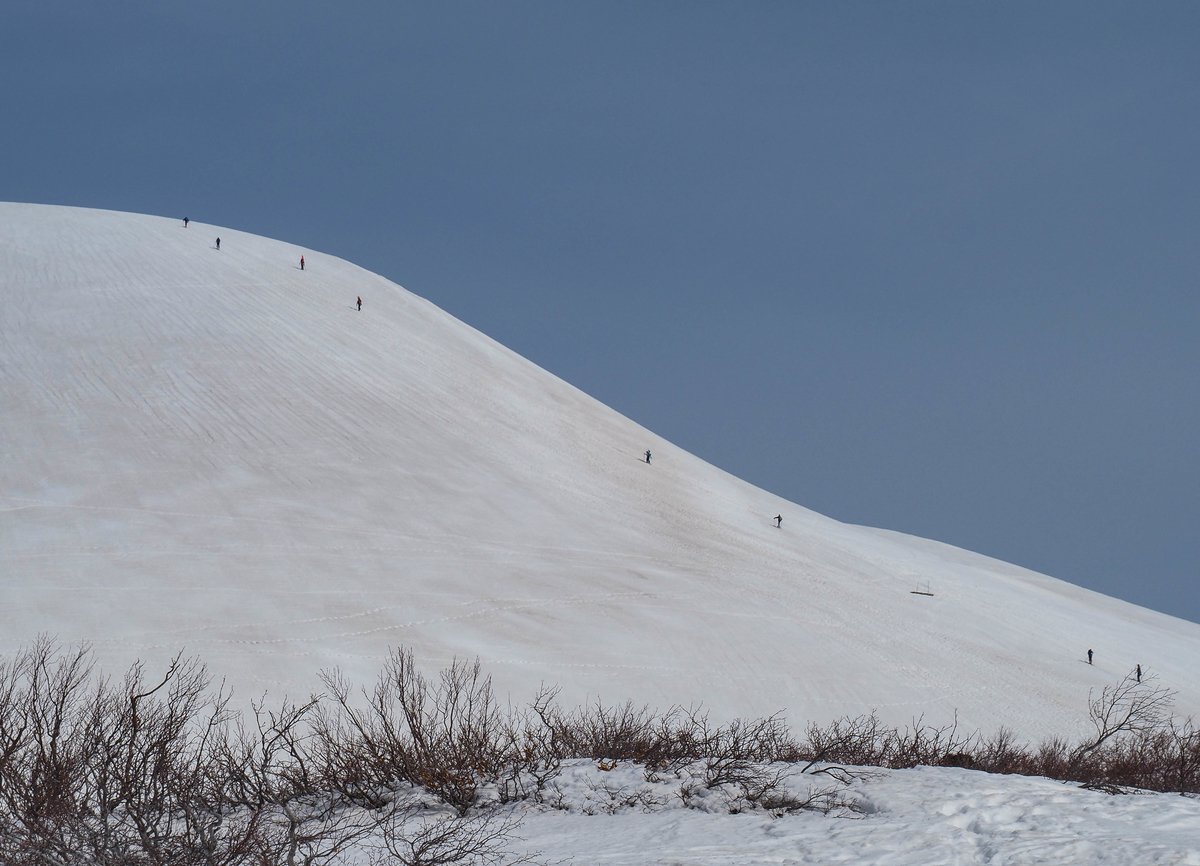 f:id:pft78526:20220413053845j:plain