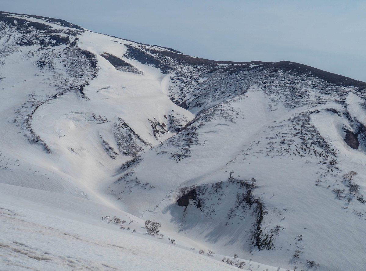 f:id:pft78526:20220413053851j:plain