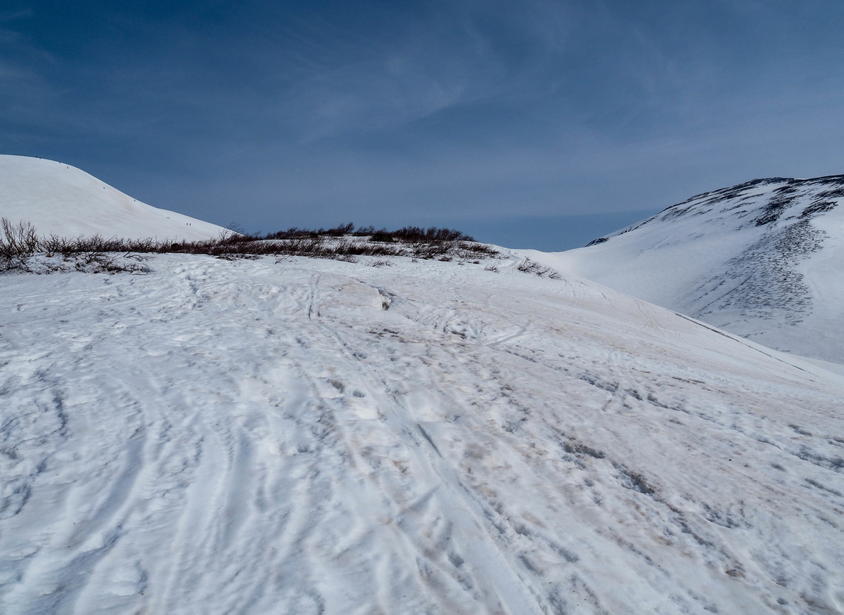 f:id:pft78526:20220413053856j:plain