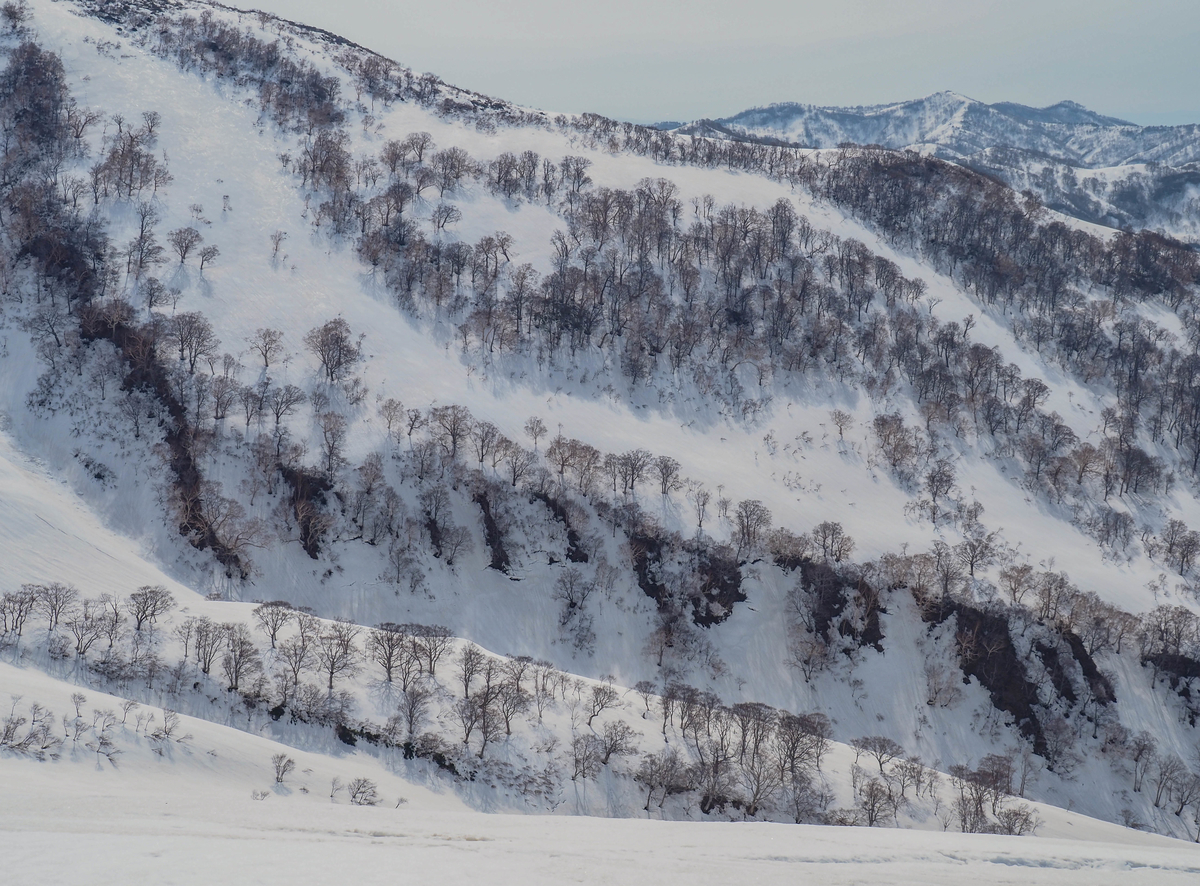 f:id:pft78526:20220413053910j:plain