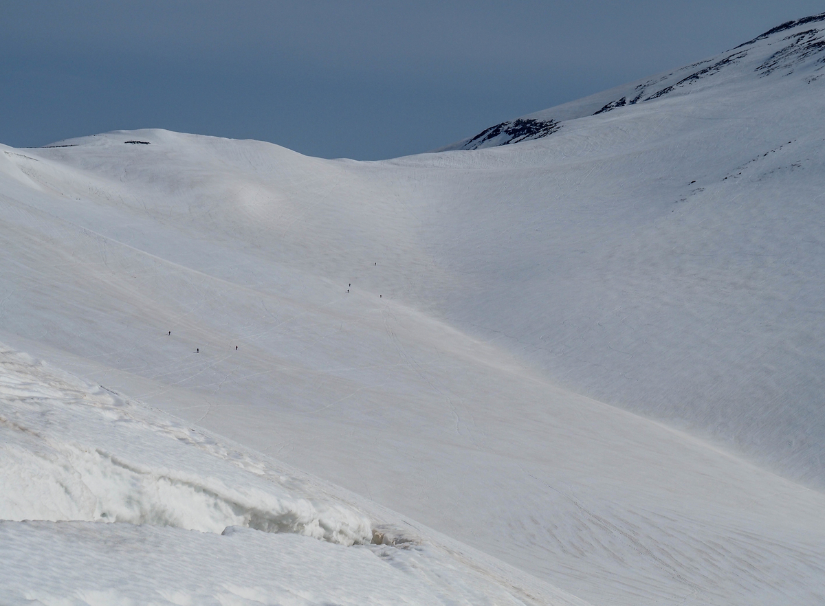 f:id:pft78526:20220413053915j:plain