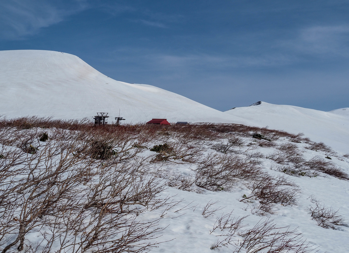 f:id:pft78526:20220413053920j:plain