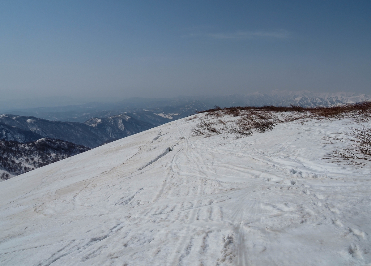 f:id:pft78526:20220413053930j:plain