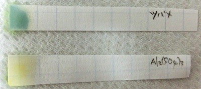 f:id:pgary:20121122220207j:image