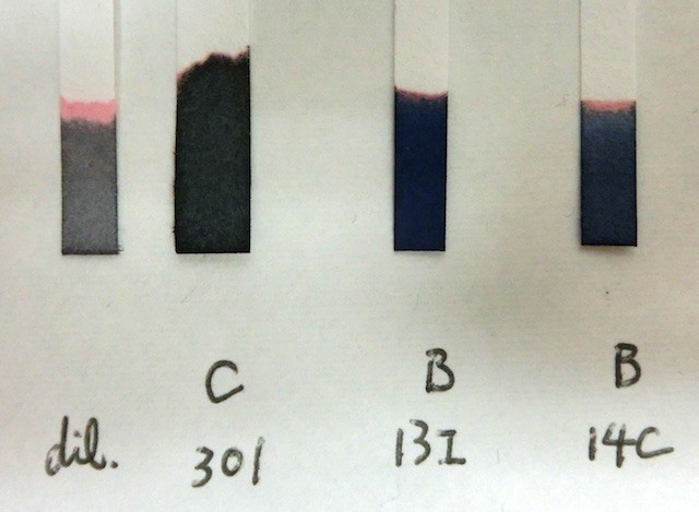 f:id:pgary:20150805083937j:plain f:id:pgary:20150805083937j:plain