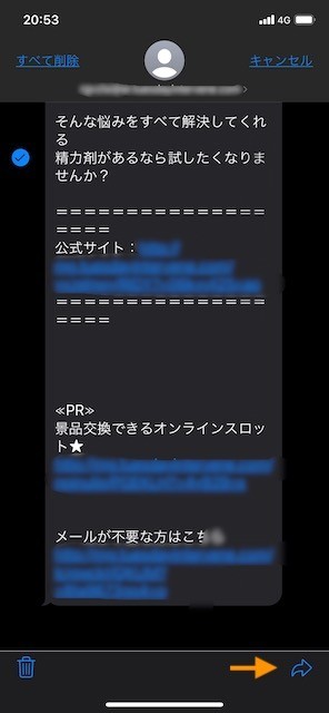 f:id:pgary:20210225190748j:plain
