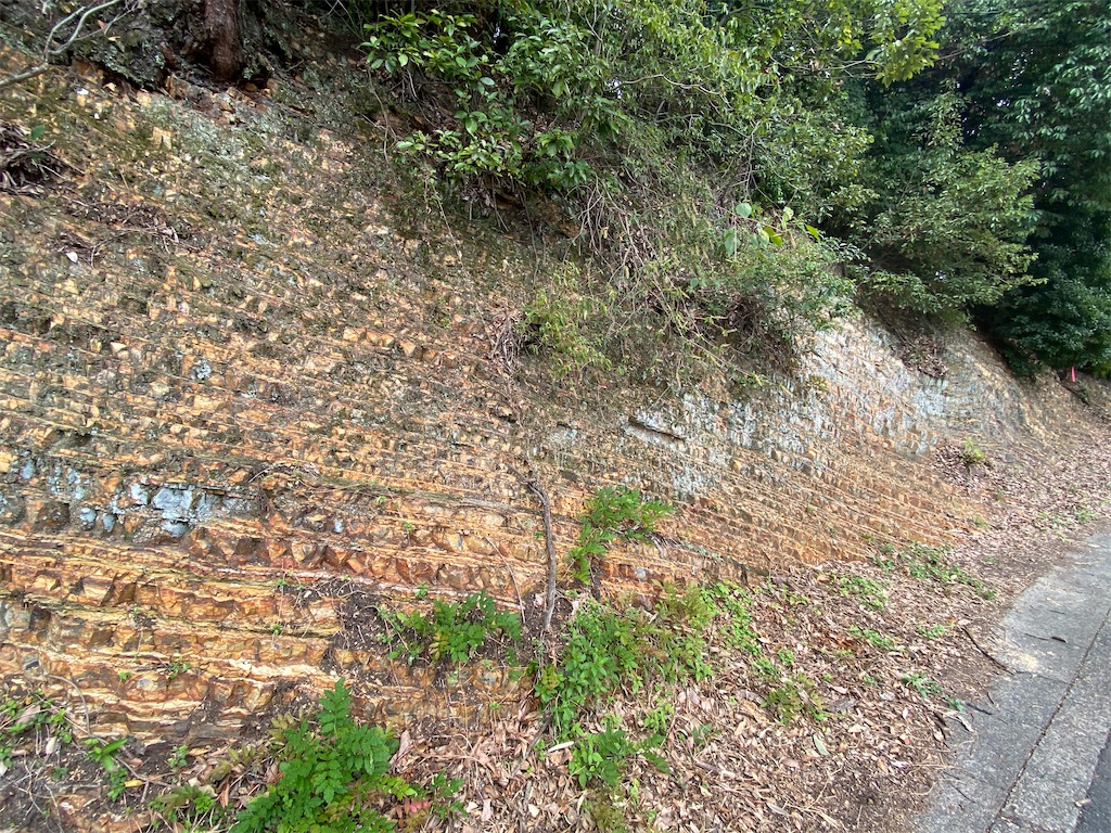 f:id:pgcc0424:20200920155718j:image