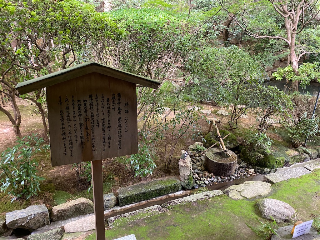 f:id:pgcc0424:20200920161029j:image