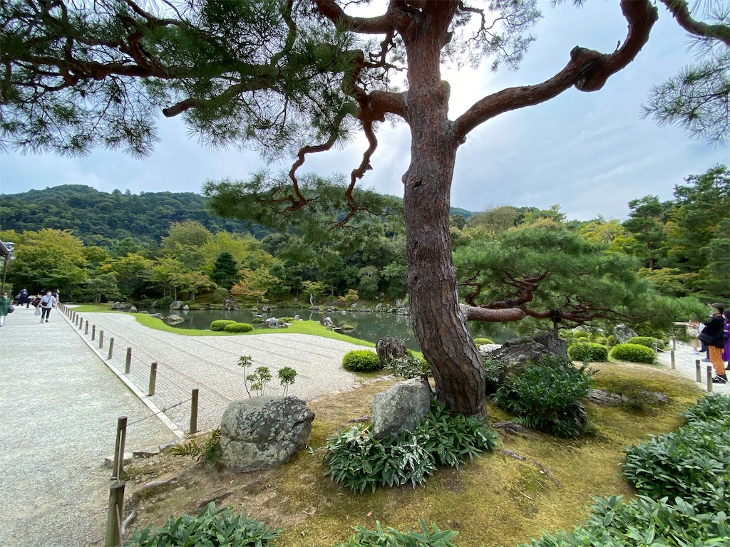 f:id:pgcc0424:20200920163146j:image