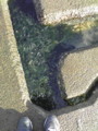 20091219144417