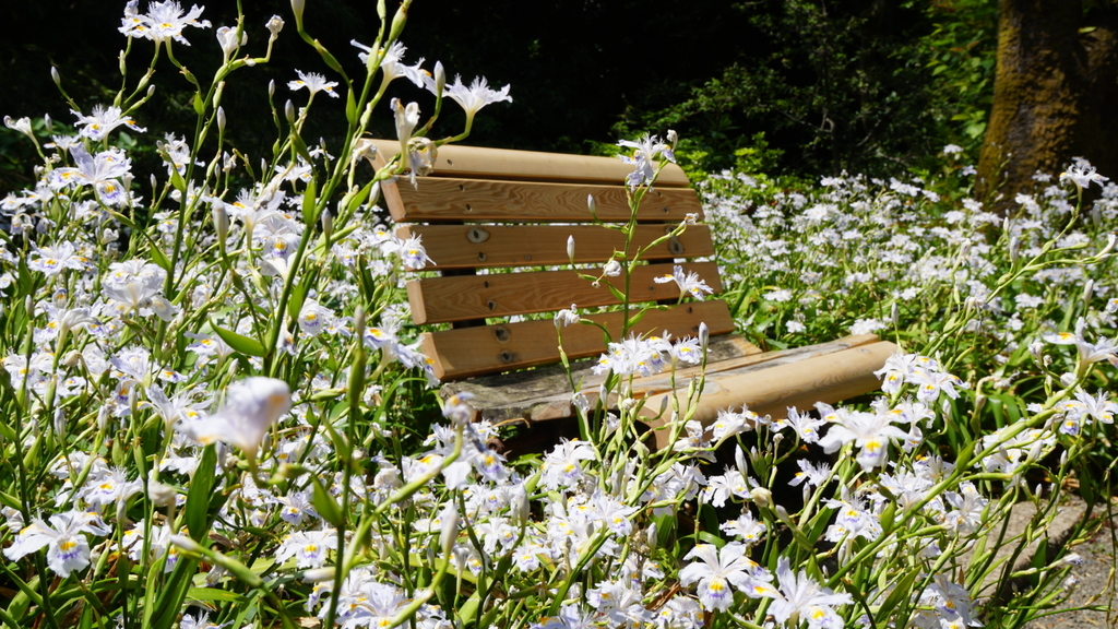 f:id:pggntuhnjs:20181231114818j:plain