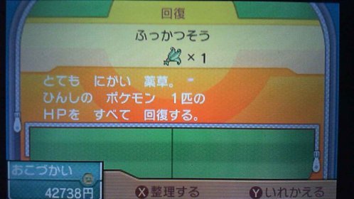 ポケモンusum ホテルでお爺さんの友達探し 友達の居場所 カンタイシティのイベント攻略編 ポケモンウルトラサンムーン攻略 元プログラマーぷげらの趣味ブログ