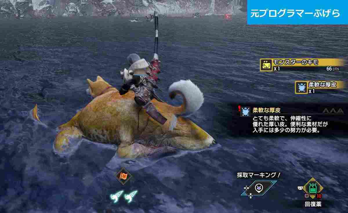 モンハンサンブレイク 柔軟な厚皮の入手方法と場所まとめ 新素材アイテム収集編 モンハンライズ攻略 元プログラマーぷげらの趣味ブログ モンハンサンブレイク 柔軟な厚皮の入手方法と場所まとめ 新素材アイテム収集編 モンハンライズ攻略 元プログラマーぷげらの趣味ブログ