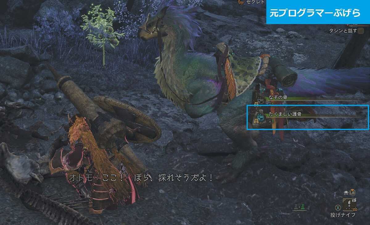 【MHWilds】効率の良いたくましい護骨の入手方法と入手場所まとめ｜下位素材収集編【モンハンワイルズ攻略】 - 元プログラマーぷげらの趣味ブログ