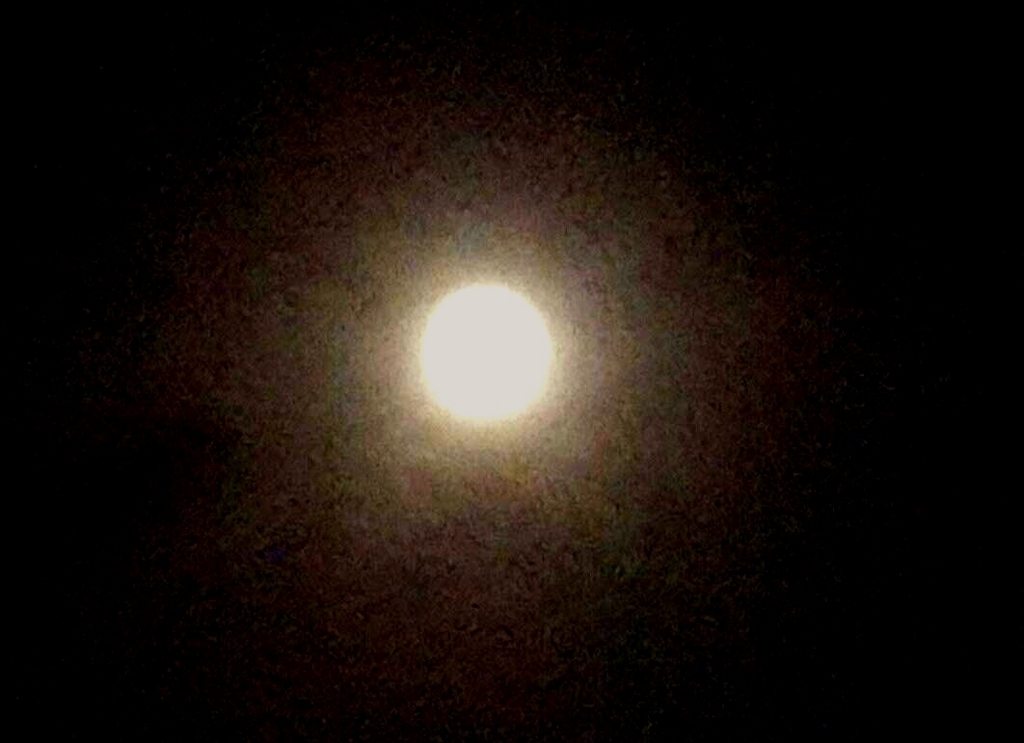 f:id:pgrose0:20170609213920j:plain f:id:pgrose0:20170609213920j:plain
