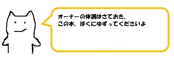 f:id:ph_minimal:20201020211451j:plain