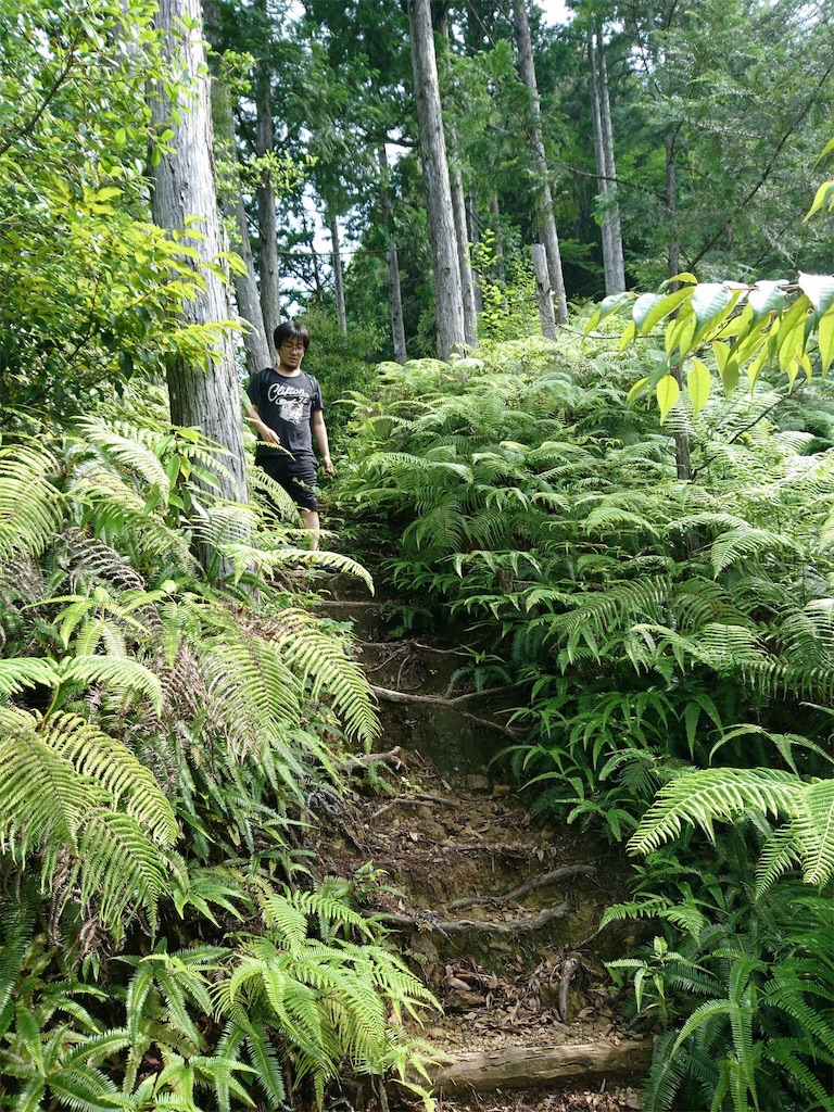 f:id:pha:20170722211054j:image f:id:pha:20170722211054j:image