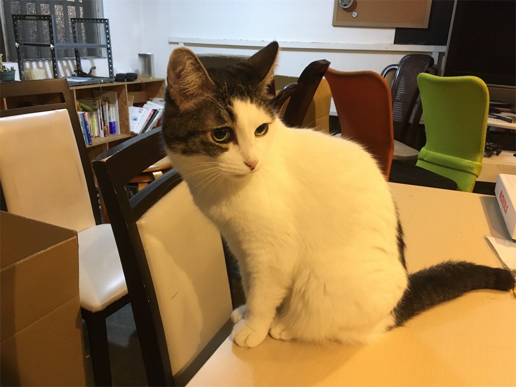 f:id:pha:20171004232719j:image