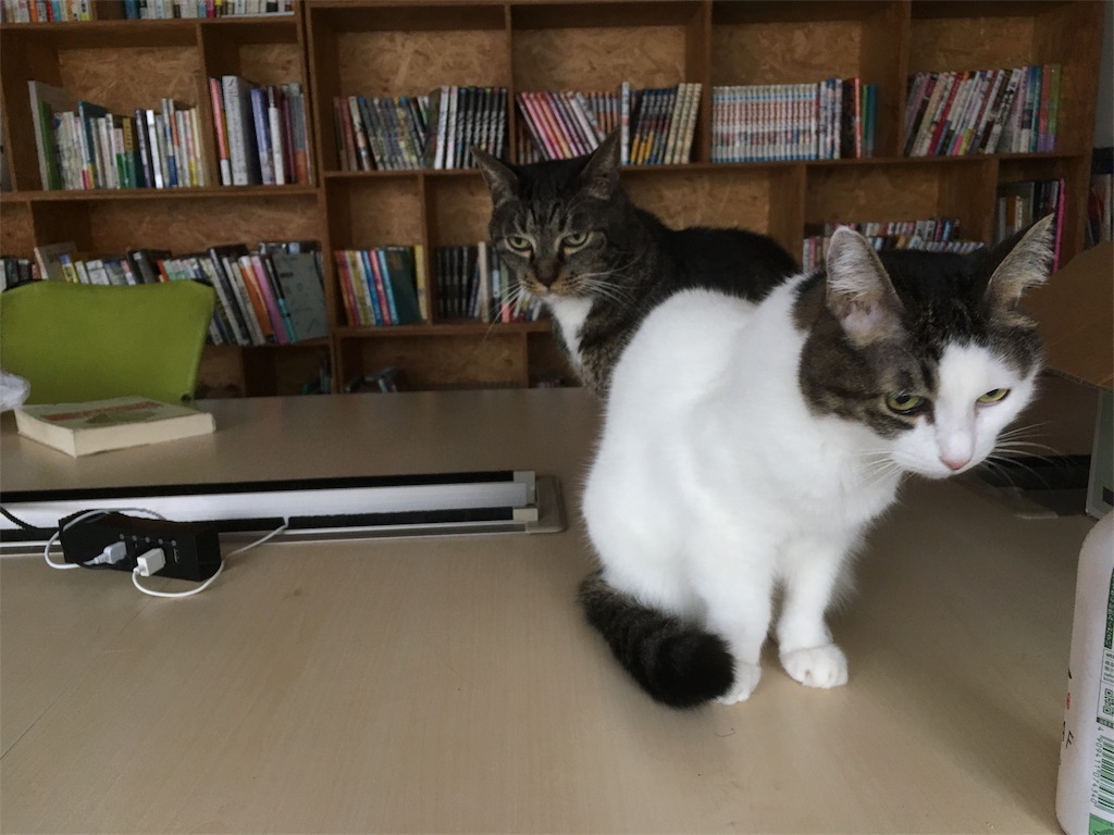 f:id:pha:20171030213241j:image