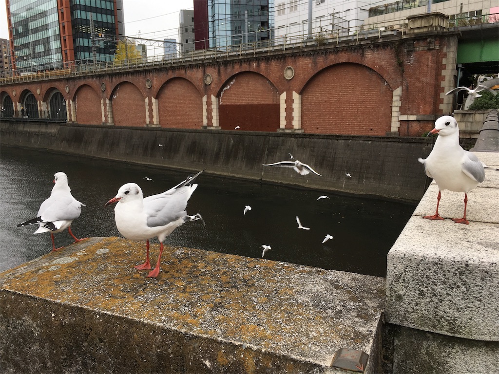 f:id:pha:20171119093042j:plain