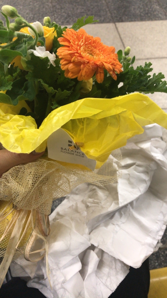 f:id:phantom_gon:20161229205347j:plain f:id:phantom_gon:20161229205347j:plain