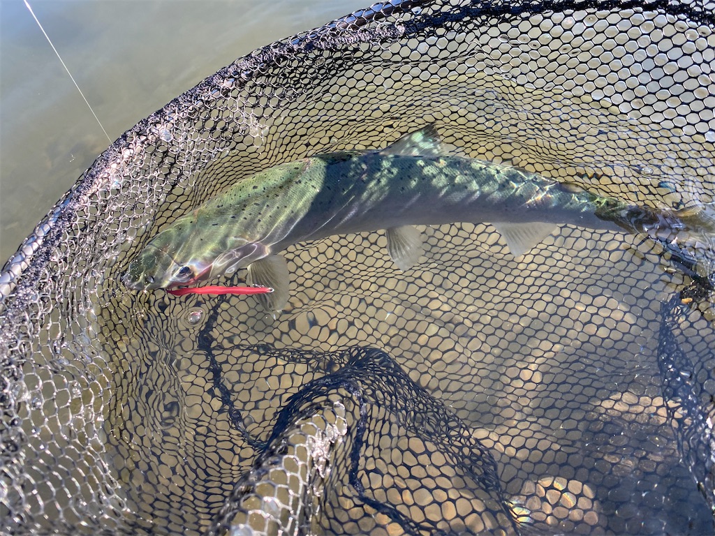f:id:phantom_outdoor:20201125223305j:image f:id:phantom_outdoor:20201125223305j:image