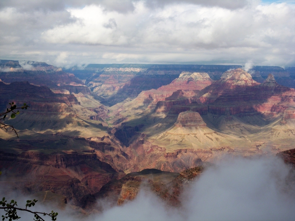 f:id:pharmb:20180123025135j:plain