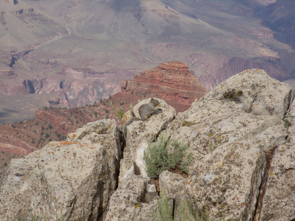 f:id:pharmb:20180123025151j:plain