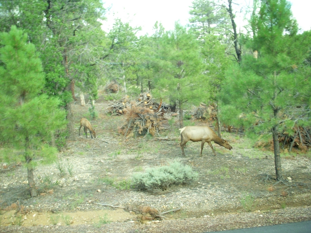 f:id:pharmb:20180123025219j:plain