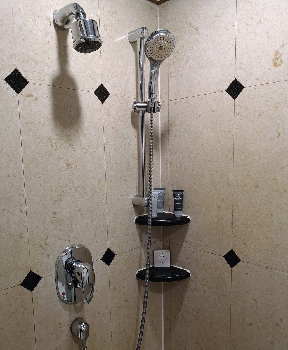 f:id:pharmb:20190505191822j:plain