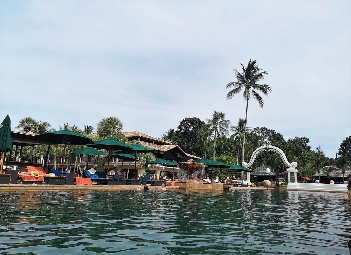 f:id:pharmb:20190518161738j:plain f:id:pharmb:20190518161738j:plain