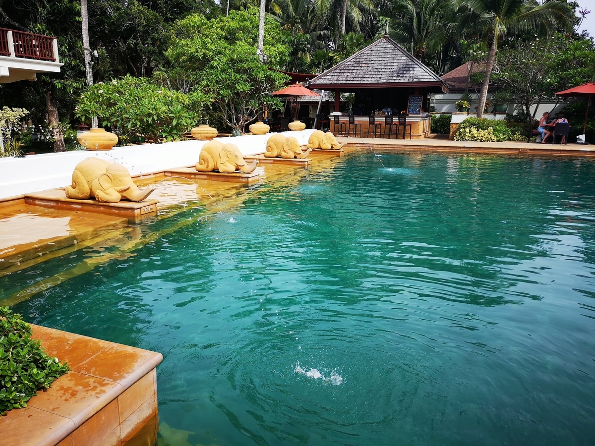 f:id:pharmb:20190518163555j:plain f:id:pharmb:20190518163555j:plain