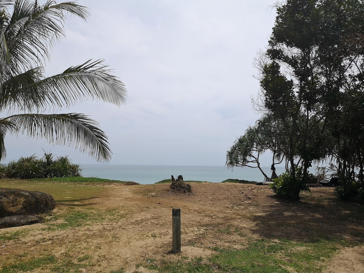 f:id:pharmb:20190518163732j:plain f:id:pharmb:20190518163732j:plain