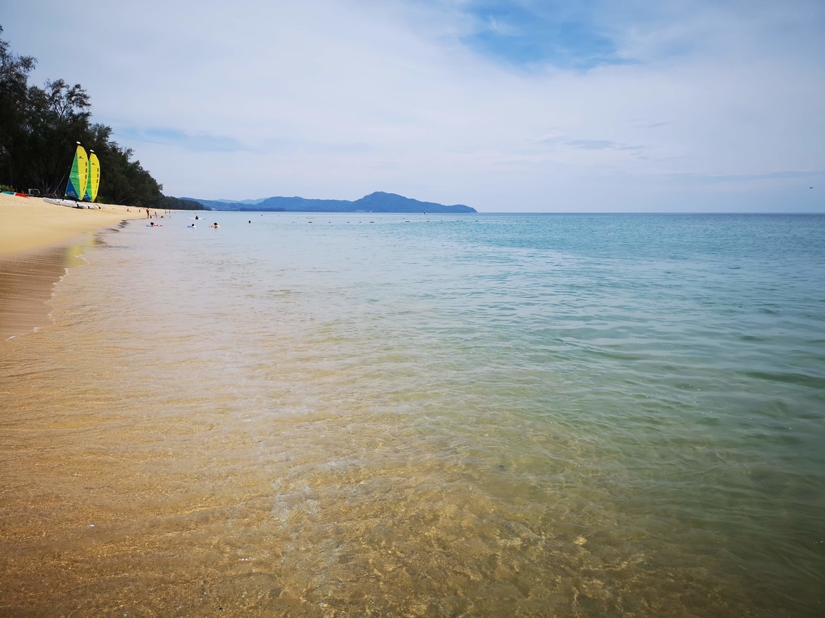 f:id:pharmb:20190518163759j:plain f:id:pharmb:20190518163759j:plain