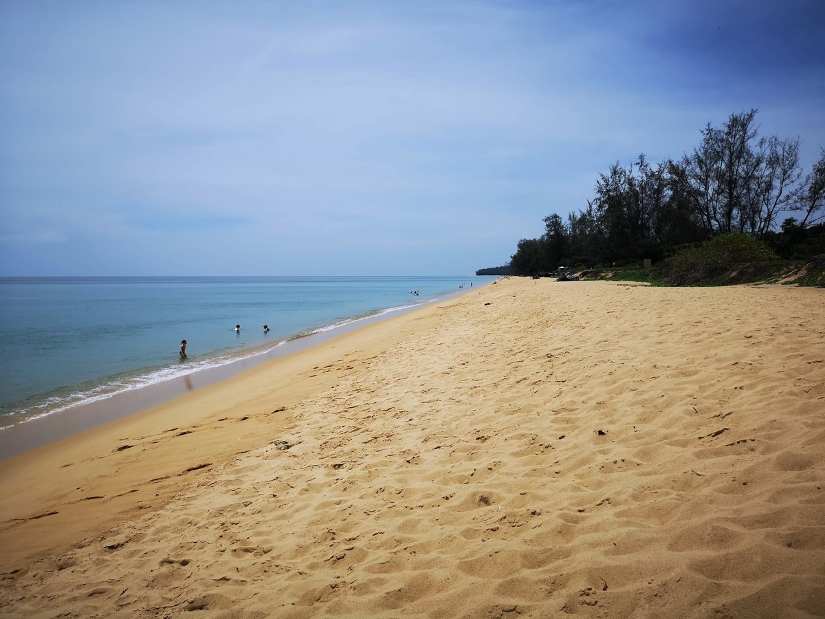 f:id:pharmb:20190518163813j:plain f:id:pharmb:20190518163813j:plain