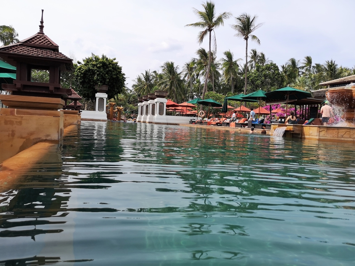 f:id:pharmb:20190518163944j:plain f:id:pharmb:20190518163944j:plain