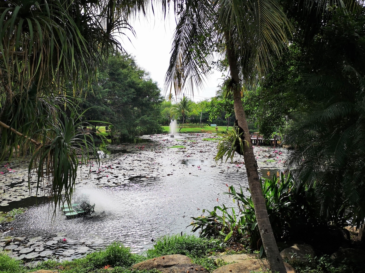 f:id:pharmb:20190602175432j:plain f:id:pharmb:20190602175432j:plain