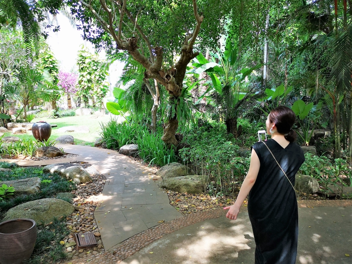 f:id:pharmb:20190602175946j:plain f:id:pharmb:20190602175946j:plain