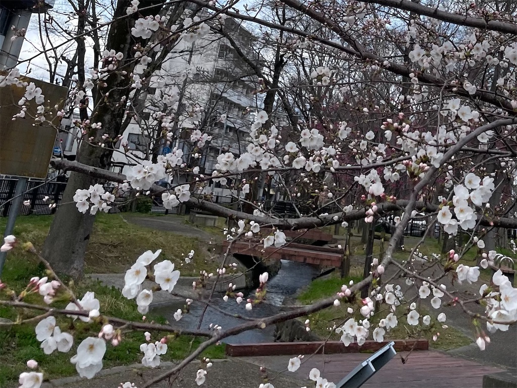 f:id:phascolaz:20250330225218j:image f:id:phascolaz:20250330225218j:image