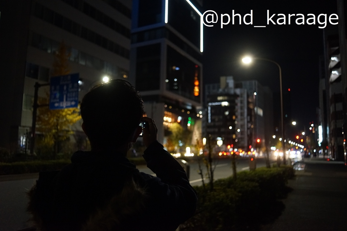 f:id:phd_karaage:20211219212209j:plain