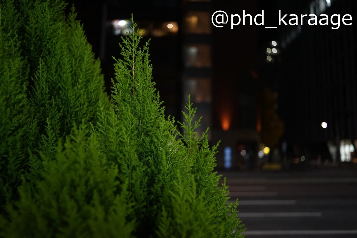 f:id:phd_karaage:20211219213006j:plain
