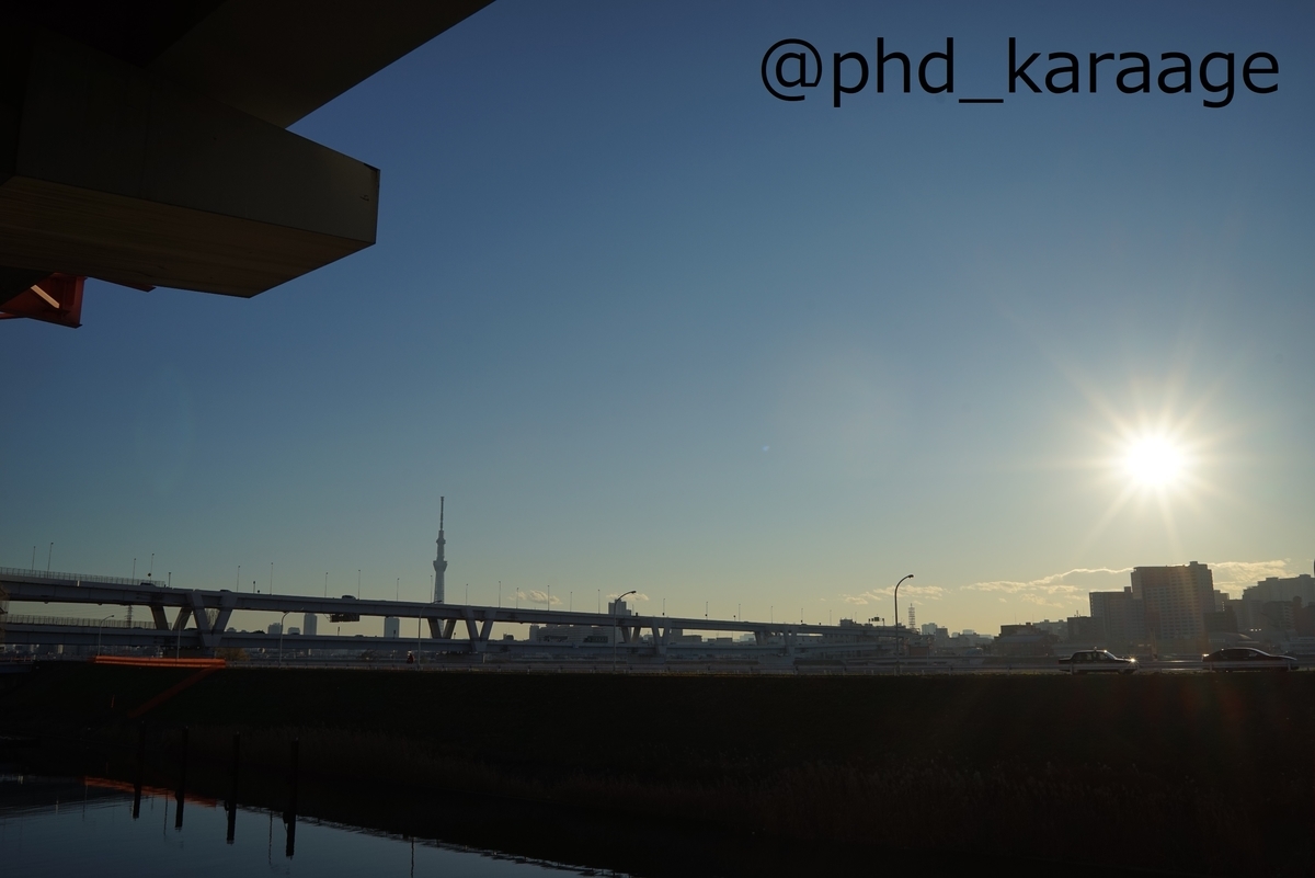 f:id:phd_karaage:20211219222701j:plain