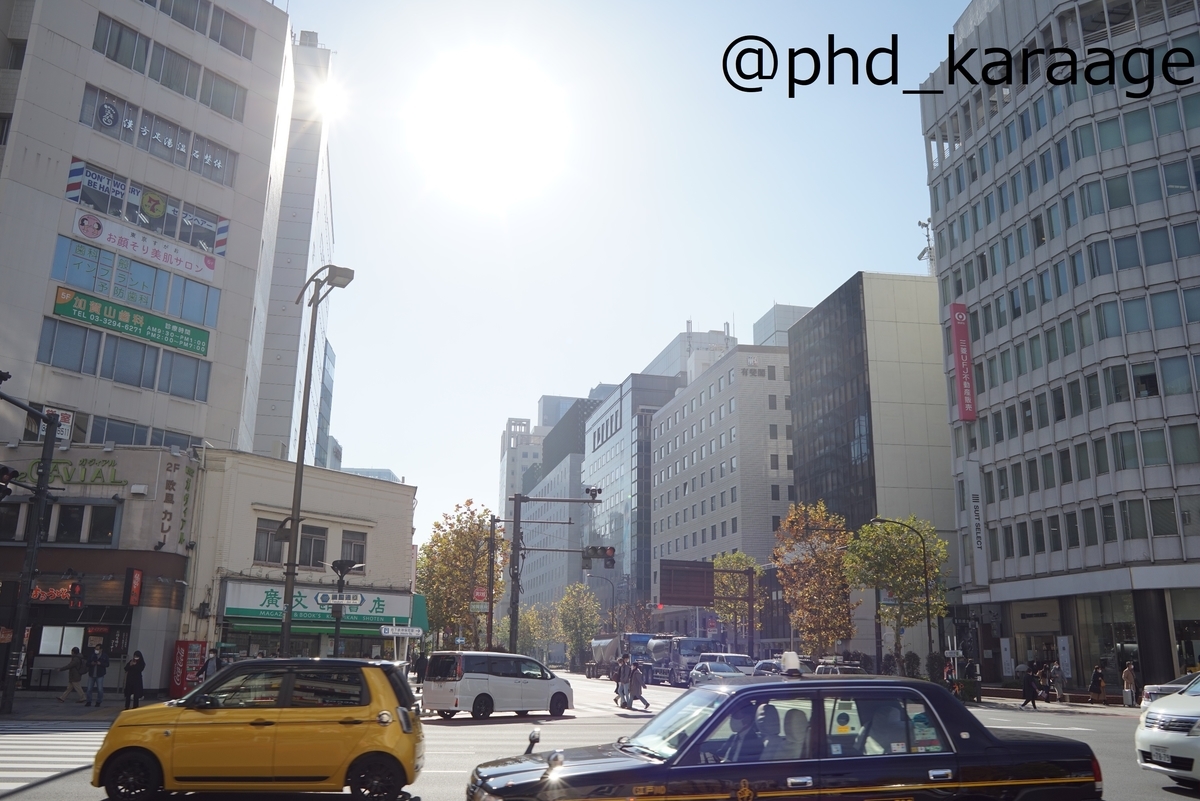 f:id:phd_karaage:20211219222913j:plain