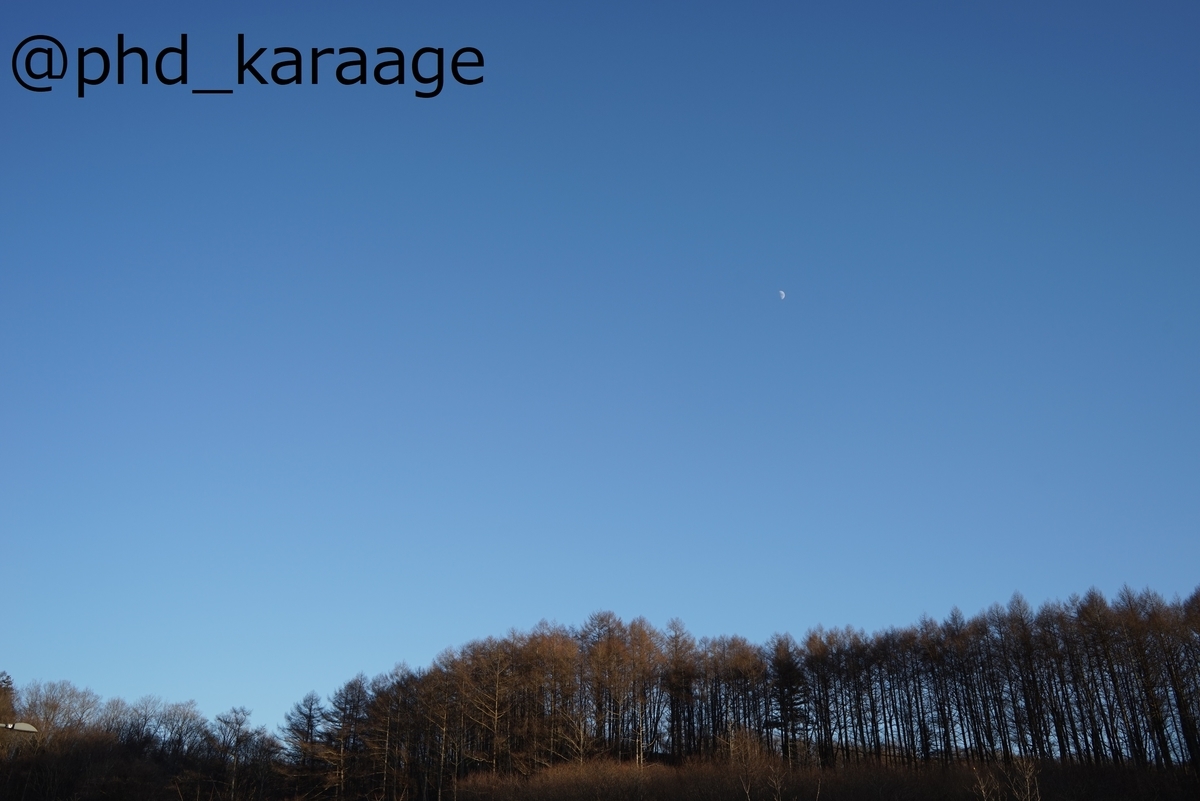 f:id:phd_karaage:20211219223233j:plain
