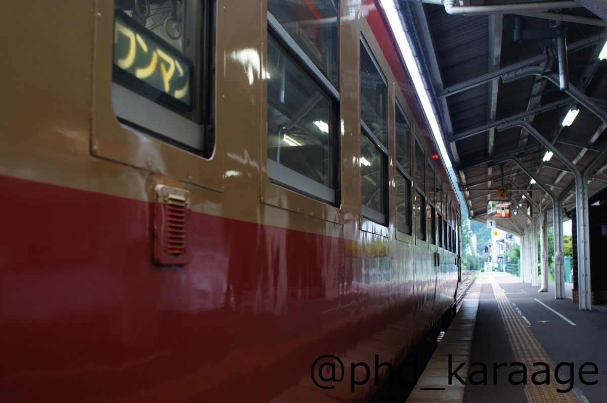 f:id:phd_karaage:20211219224355j:plain