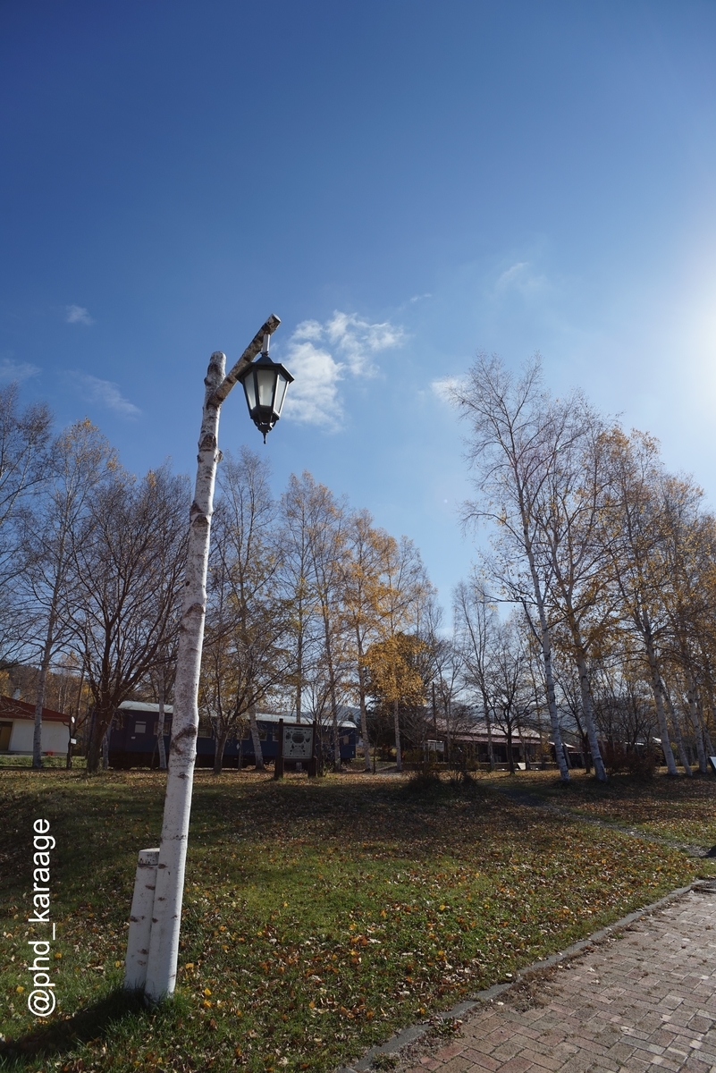ミノルタ MINOLTA AF20 F2.8 C-PLフィルター ジャンク ミノルタ MINOLTA AF20 F2.8 C-PLフィルター ジャンク