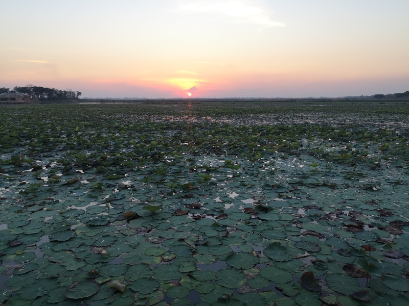 f:id:phichit:20201229121318j:plain