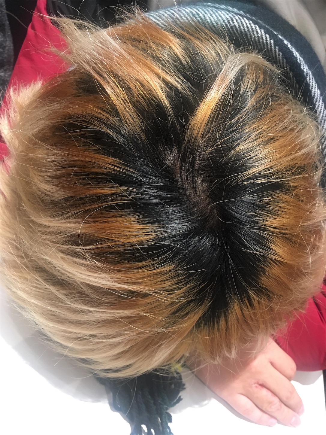 f:id:philippe_hiro_hero:20190125175410j:image f:id:philippe_hiro_hero:20190125175410j:image
